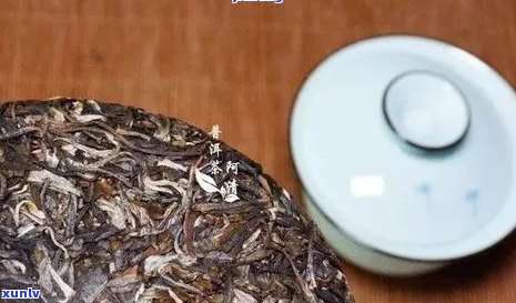 普洱茶煮出来的茶有棉絮状，这是怎么回事？如何避免和解决这个问题？