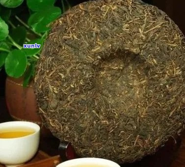 普洱茶茶饼：品种、 *** 工艺、品鉴 *** 及功效详解