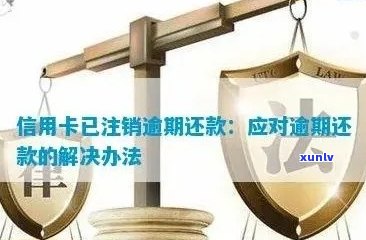 逾期还款后如何处理信用卡：注销、恢复、解决信用问题全攻略