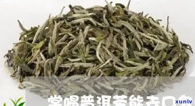 喝普洱茶能治口臭吗