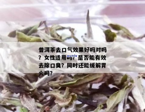 普洱茶去胃火和口臭么：探讨其效果及原因