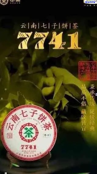 中国普洱茶交易网官网，提供、网站查询服务，老茶园七子饼等你来选！