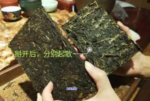 如何轻松撬开方块普洱茶：一步一步教学，新手也能快速掌握技巧！