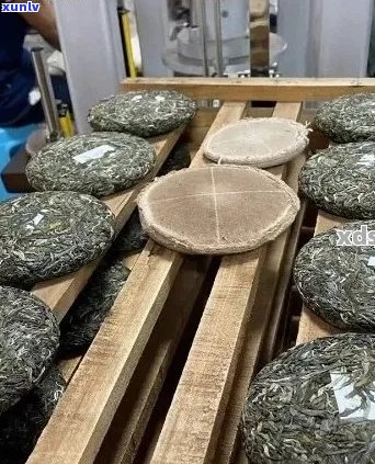 普洱茶压饼工艺详解：从采摘到成品的全过程