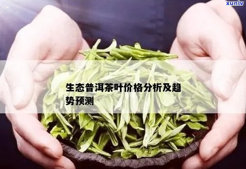 探究普洱茶一叶生香的价格及其品质特征