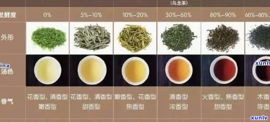 普洱茶原级鉴定：了解各等级茶叶的特点与品质，选择适合您的好茶