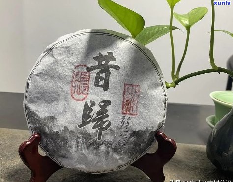 精品普洱茶十大