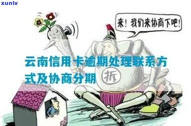 云南信用卡逾期免费咨询