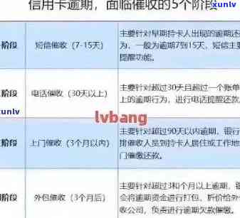 信用卡逾期解决方案：如何应对、期还款及修复信用记录全攻略