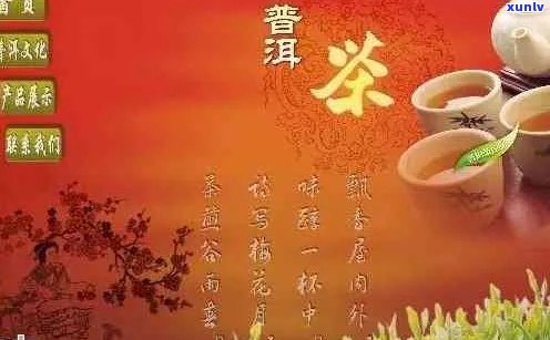 形容春明普洱茶的诗句有哪些：三年级学生探索普洱茶之美