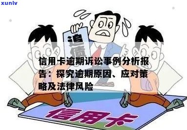 莒南县信用卡透支风险与应对策略分析：逾期案件研究