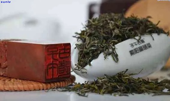 陕西普洱茶十大名牌排行榜：优质茶叶尽在其中