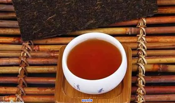 陕西普洱茶十大名牌排行榜：优质茶叶尽在其中