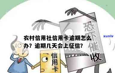 农村信用社信用卡逾期几天不算逾期，会上吗？逾期后应该如何处理？