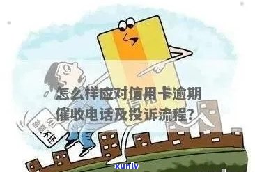 信用卡逾期客户 *** 工作挑战与应对策略