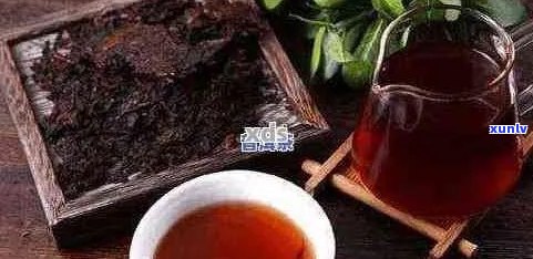 普洱茶熟茶对减肥的影响：科学研究、饮用 *** 和注意事项全面解析