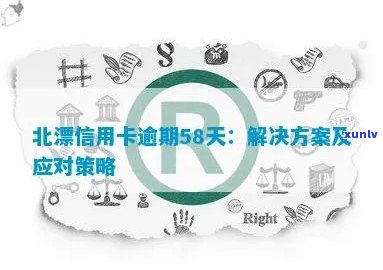 北京信用卡逾期5天后果、解决方案及应对策略一览