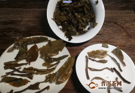 2011年大益高山揽月茶：详细原料解析，口感特点以及品鉴 *** 