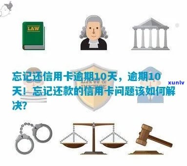 信用卡还款逾期10天：忘记还款的解决策略与建议