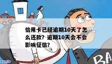 信用卡逾期10多天会影响吗？怎么办？