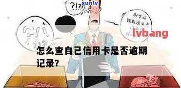 如何查询信用卡逾期几次没有逾期记录