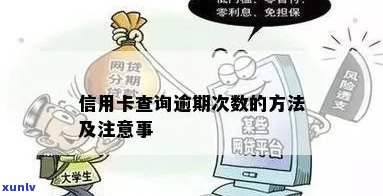 如何查询信用卡逾期几次