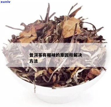 如何去除普洱茶中的糊味？