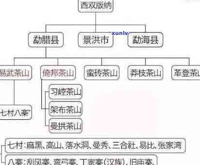 探索普洱茶的魅力：六大茶山全面解读与比较