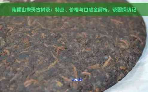 拔玛古树价格走势与产地口感特点：探究其茶类归属与购买指南