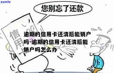 信用卡逾期还款后的影响及其清销户处理策略：一篇全面指南