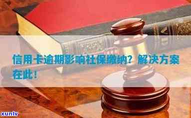 信用卡逾期后，银行查到社保信息该如何处理？解决 *** 全面解析