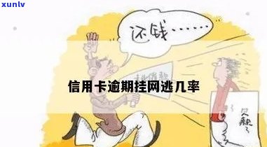 信用卡逾期会挂网逃犯吗？