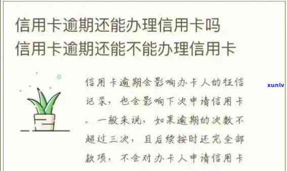 信用卡逾期后，多久可以重新申请办理？