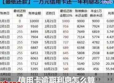 新信用卡五万逾期利息计算方式及相关法律规定解读