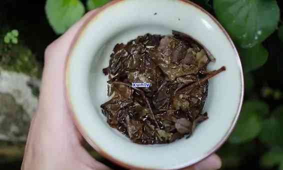 小白菜普洱茶：古树茶香，清甜回，助消化，减肥瘦身，