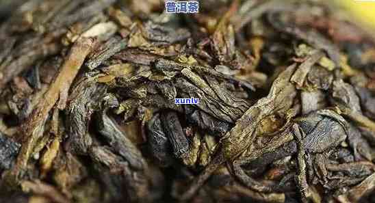 普洱茶生熟价格差距：合适范围与具体金额解析