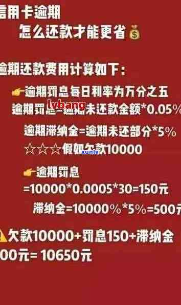 信用卡逾期金额不够一万怎么办-信用卡逾期金额不够一万怎么办呢