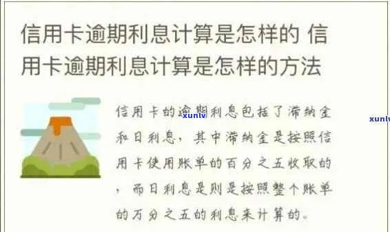 信用卡逾期半年利息计算 *** 详解：如何应对逾期导致的巨额债务？