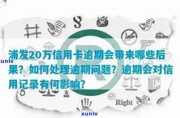 信用卡逾期20万元：可能的后果与解决方案全面解析，你还会选择逾期吗？