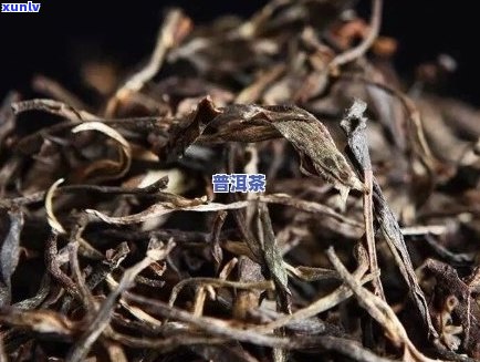 普洱茶炒制过程中香气不足的原因及解决 *** 解析