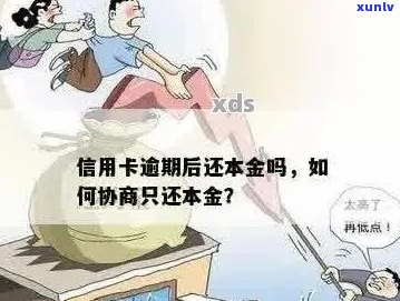 欠信用卡还本金可以吗？怎么操作？逾期后只还本金可行吗？ *** 沟通有效吗？