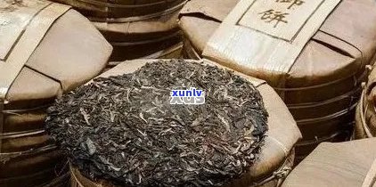 哪类普洱茶投资价值更高：专业指南与分析