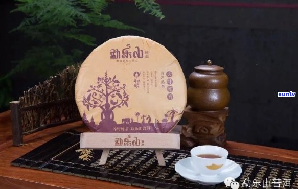 小爵哥普洱茶：名山古树熟茶的鼎立之选，品质与传承并重