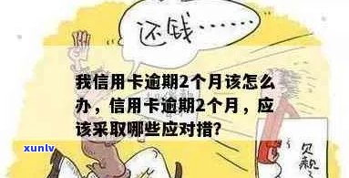 我信用卡逾期2个月该怎么办如何解决逾期问题？