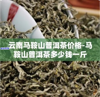 马鞍山古茶树普洱价格表和马鞍山普洱茶多少钱一斤？