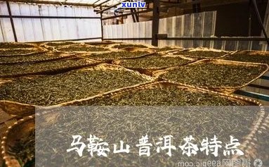 马鞍山普洱茶的特征