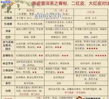 红柑普洱茶：品质、产地与口感的全面比较，哪一款最合你口味？