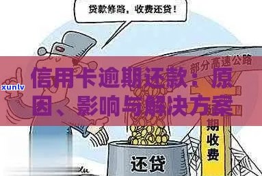 信用卡逾期还款通知单：原因、影响与解决办法