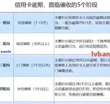 信用卡逾期还款通知单：原因、影响与解决办法