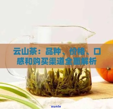 云山茶叶品质与产地介绍，价格分析及茶区归属